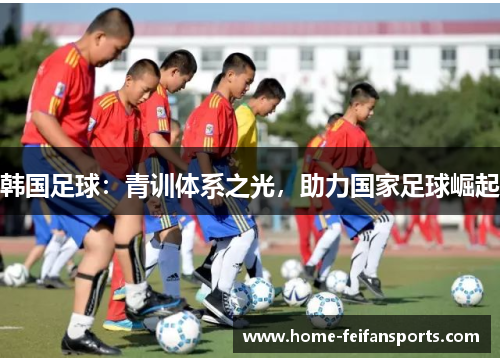 韩国足球：青训体系之光，助力国家足球崛起